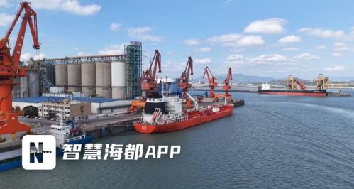 福建糧油新突破 首批6000噸大豆油成功出口，倉儲服務(wù)護航國際市場首航